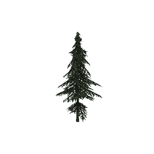 ConiferTreeSmall04LOD3 (TVE Backup)